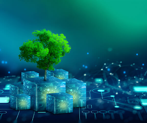 Hengli Petrochemical Co., Ltd.